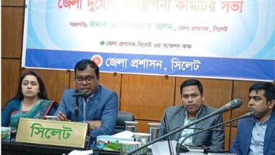 দুর্যোগে জান মাল রক্ষায় সর্বস্তরের সচেতন হতে হবে: ডিসি সারওয়ার